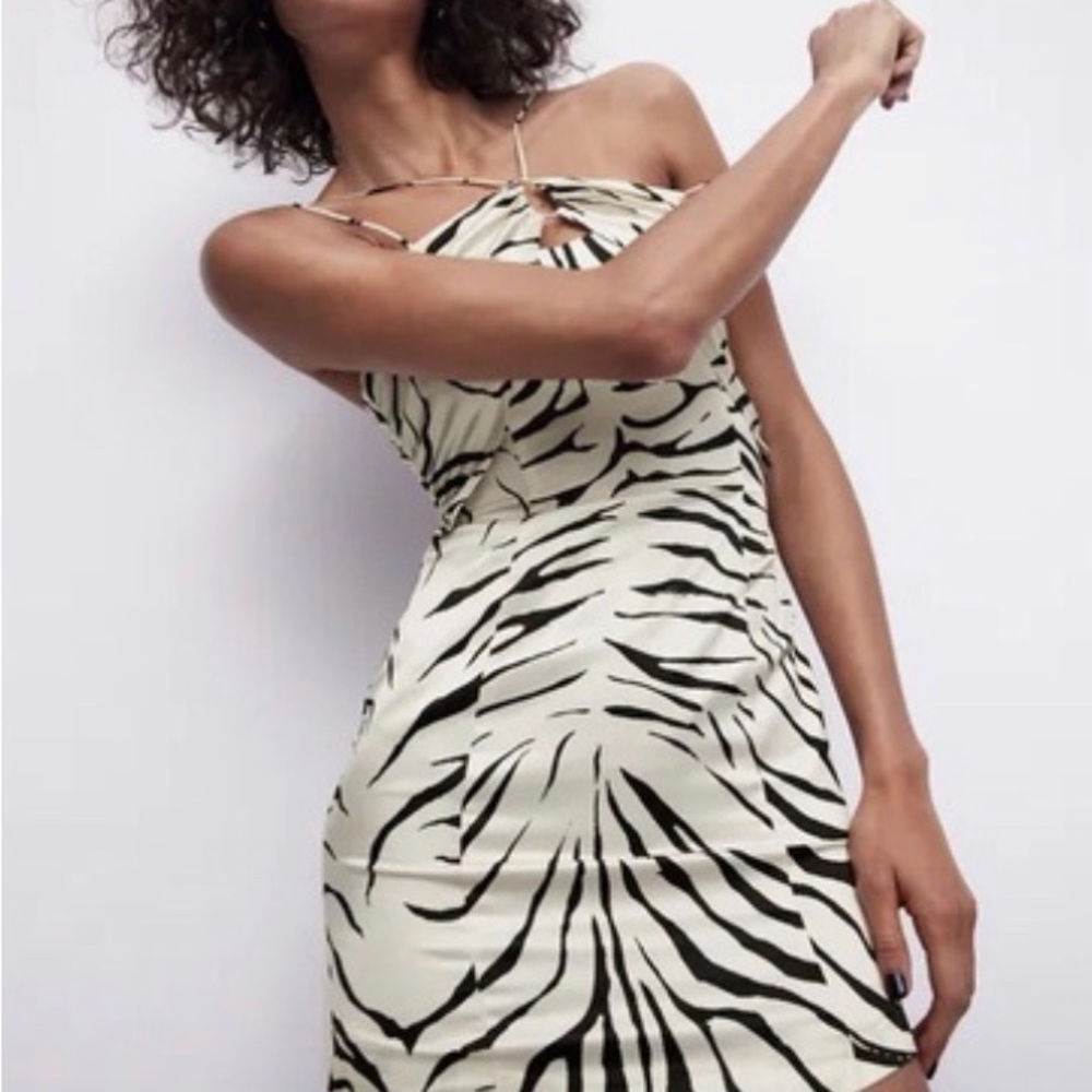 Zebra zara dress